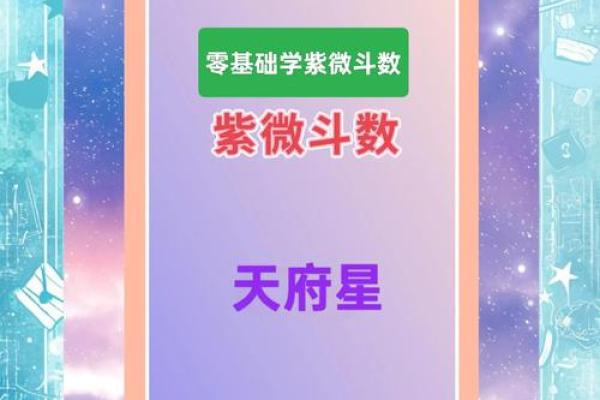 紫薇斗数apk