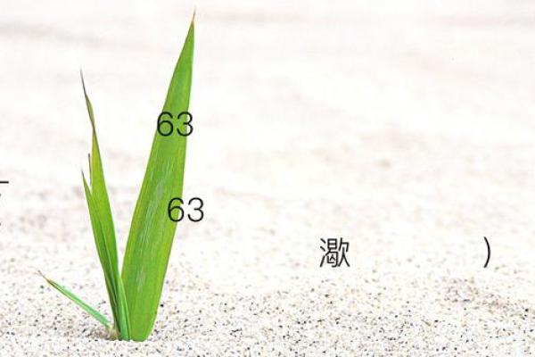 香港黄大仙灵签63
