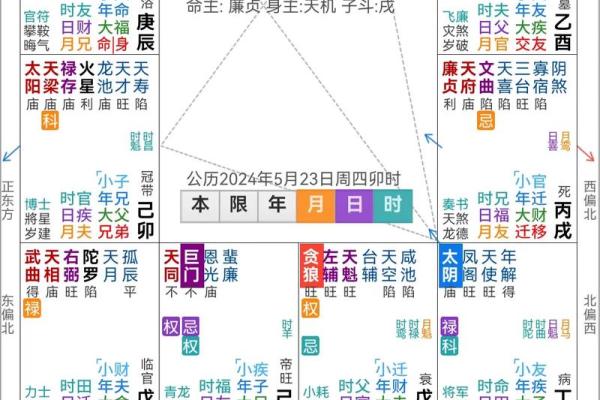 紫薇斗数解密pdf