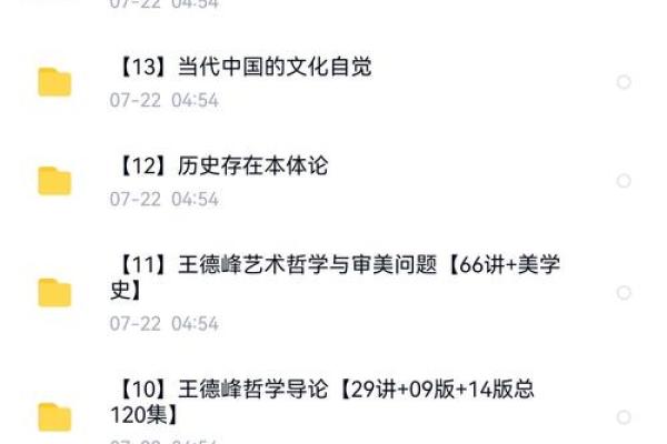王德峰讲座八字命理