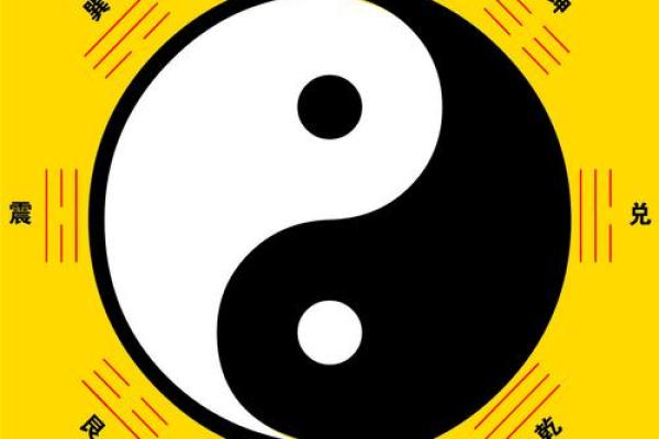 八字命理：虹桥一姐走红且看前程如何