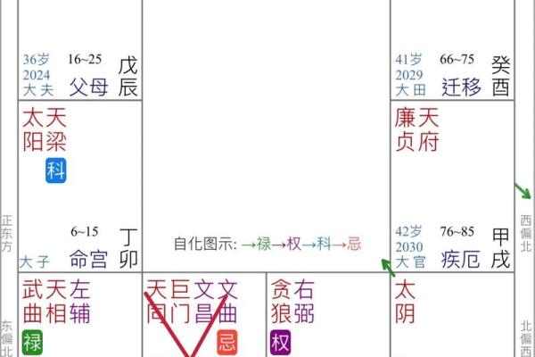 紫薇斗数预测准确吗