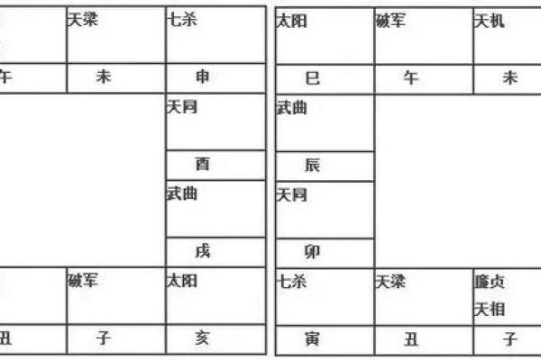 紫薇斗数免费排盘测试