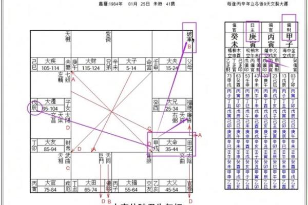 怎么排紫微斗数命盘快 紫微斗数快速排盘法？
