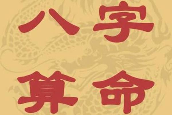 八字视频