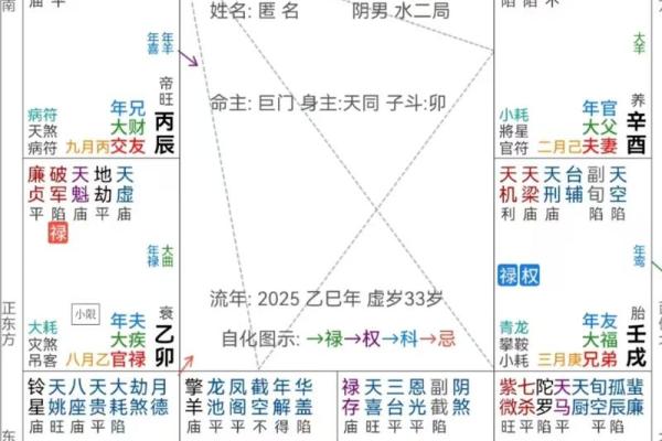 排紫薇斗数流年
