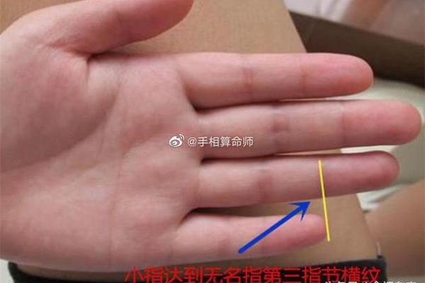 小指算命，小指的长度看你的性格和命运