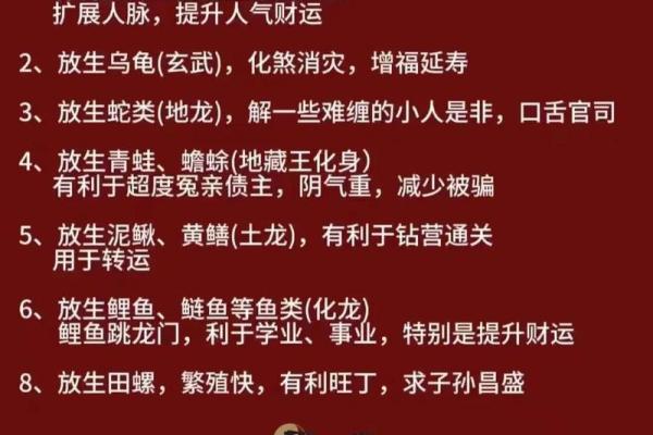 经常算八字会不会影响运气福报