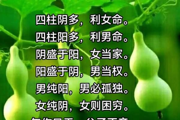 八字阳多
