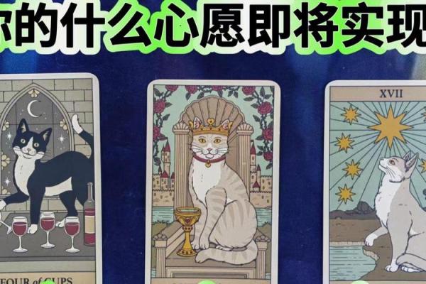 塔罗测试：春节后，你的事业如何？