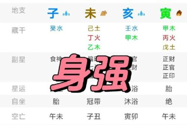 排八字排盘