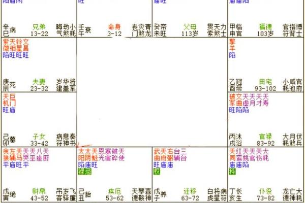 紫微斗数案例42健康：能活到90多岁的命盘