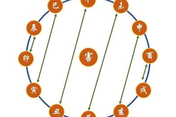 八字十二地支的五行属性
