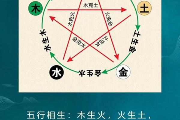 八字十二地支的五行属性