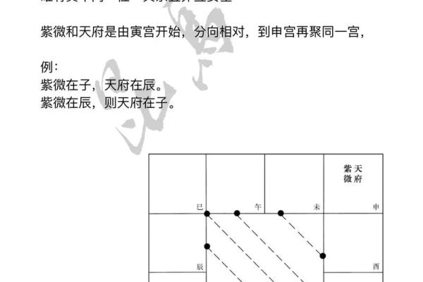 紫微斗数讲座 中州派紫微斗数初级讲义？
