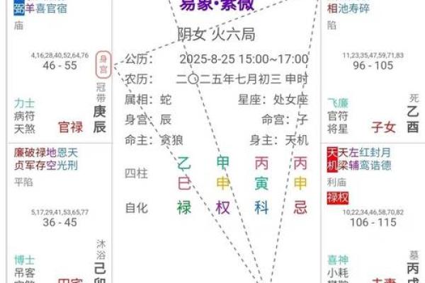 紫微斗数诸星落命宫之：天府星详解