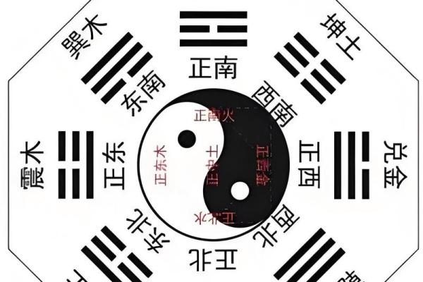 学会了算命