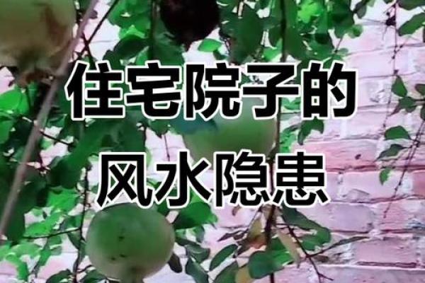 农村庭院大门风水禁忌