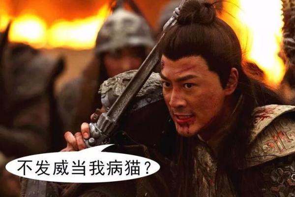 杨六郎算命视频全集
