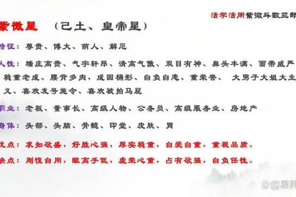紫薇斗数丁级星
