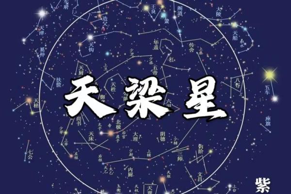 阿里紫薇斗数