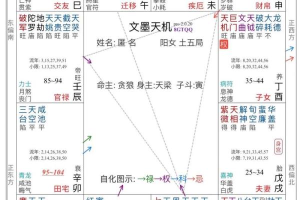 紫微斗数命盘12个宫位