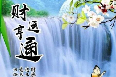 女人最佳风水属相