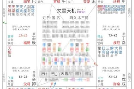 紫薇斗数权马