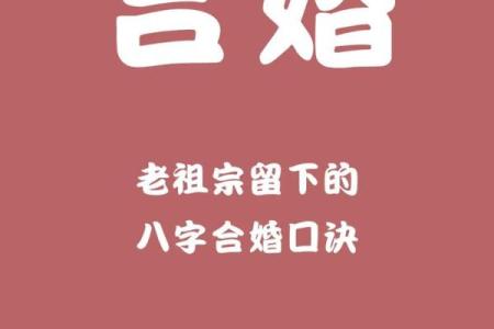 如何八字合婚