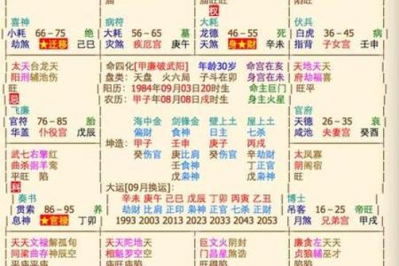 紫薇斗数排盘易安