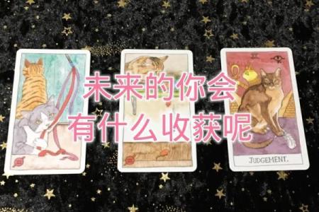 塔罗测试未来谁追你