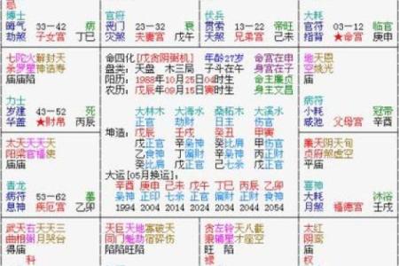 紫薇斗数太阳入命宫