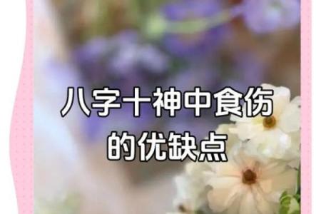 免费八字食伤查询
