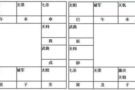紫薇斗数免费排盘测试