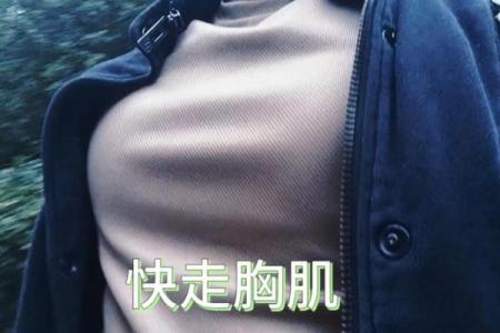 八字胸肌