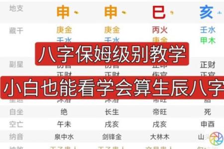 八字视频