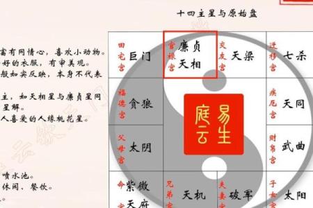 紫微斗数十四主星：天府星概论