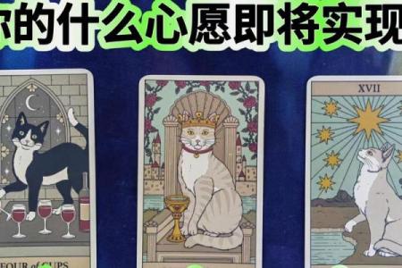 塔罗测试：春节后，你的事业如何？