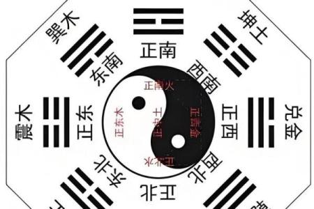 学会了算命