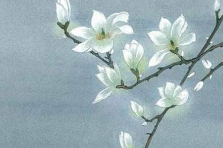 谢咏老师：郭德纲八字生辰命理详解