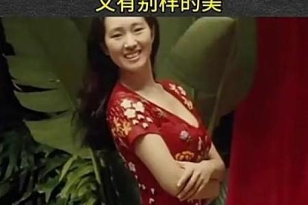巩俐紫薇斗数