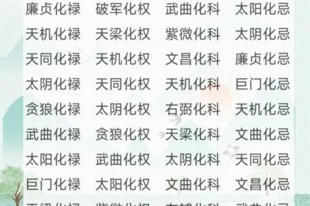 紫微斗数之生年干四化表象：子女宫四化入各宫表象
