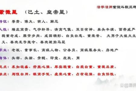 紫薇斗数丁级星