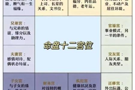 紫微斗数的卯宫是哪个方位 紫微星在卯宫的命盘的特点？