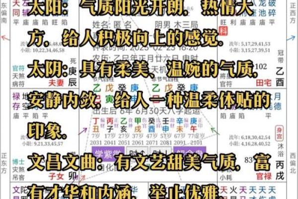 丙申年紫微斗数 丙申年运？
