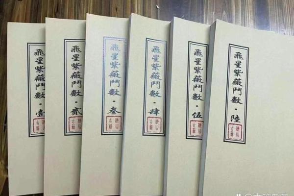 紫薇斗数与数术
