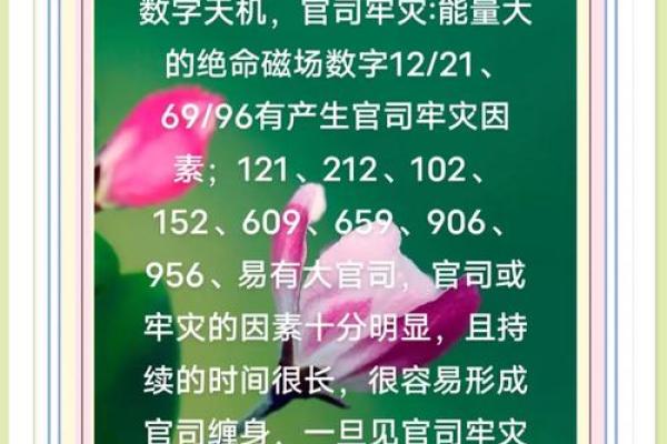 数字风水，你的手机号是吉是凶