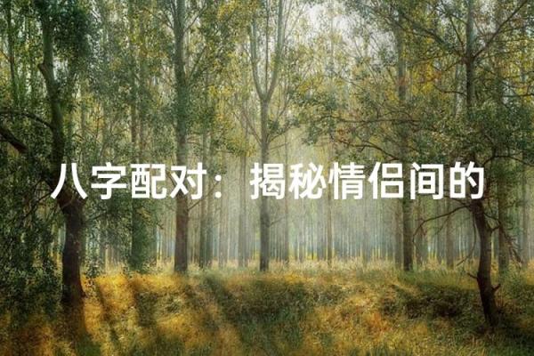 情侣八字配对