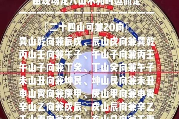 八字丁癸