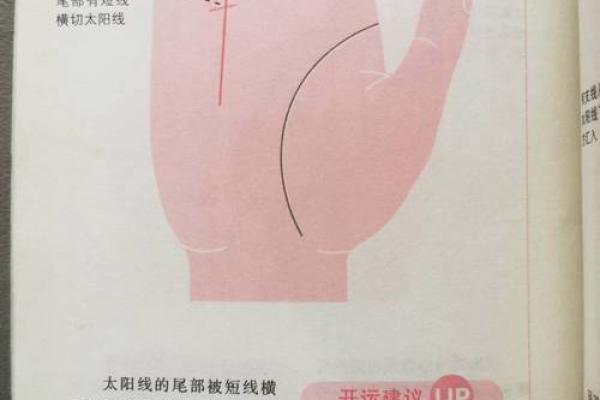 手相太阳线揭秘算命图解大全
